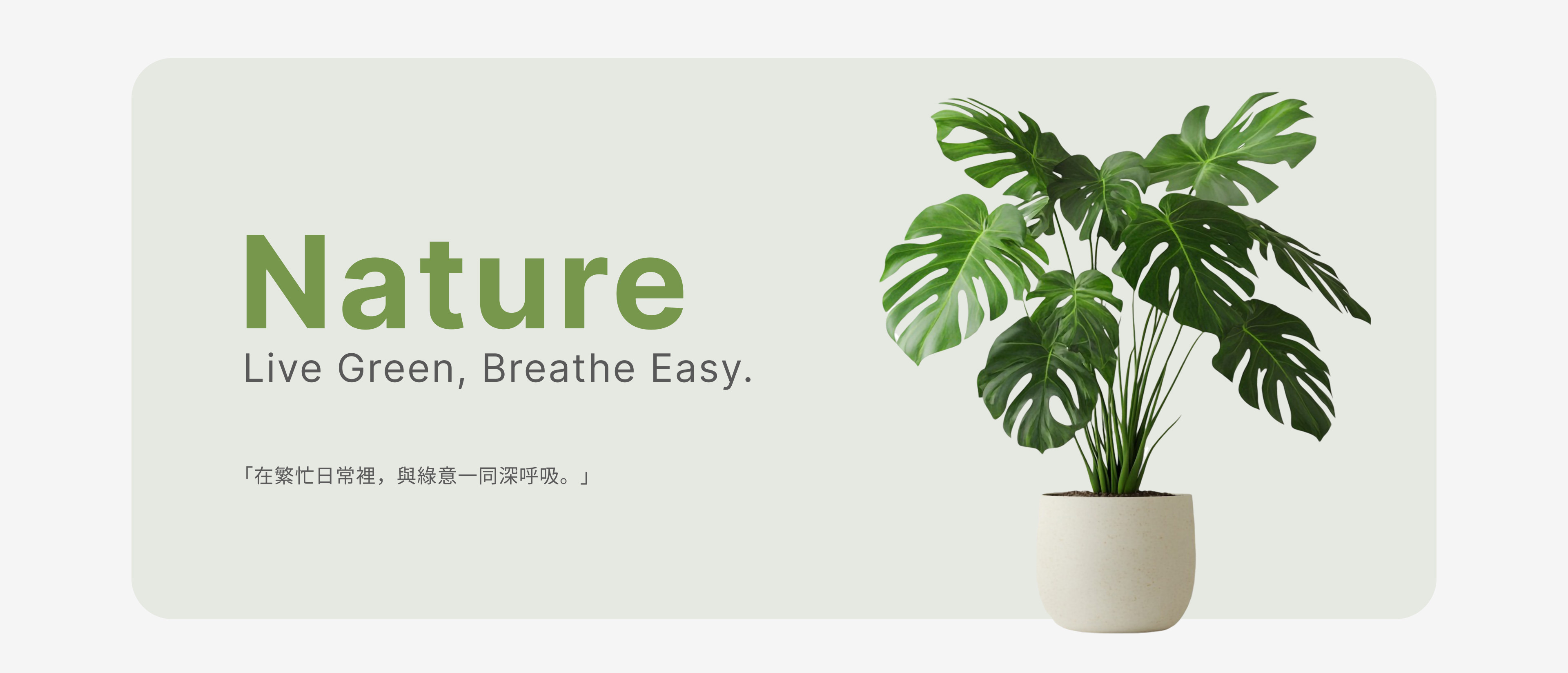 NATURE PLANTS